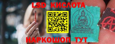 дживик Кандалакша
